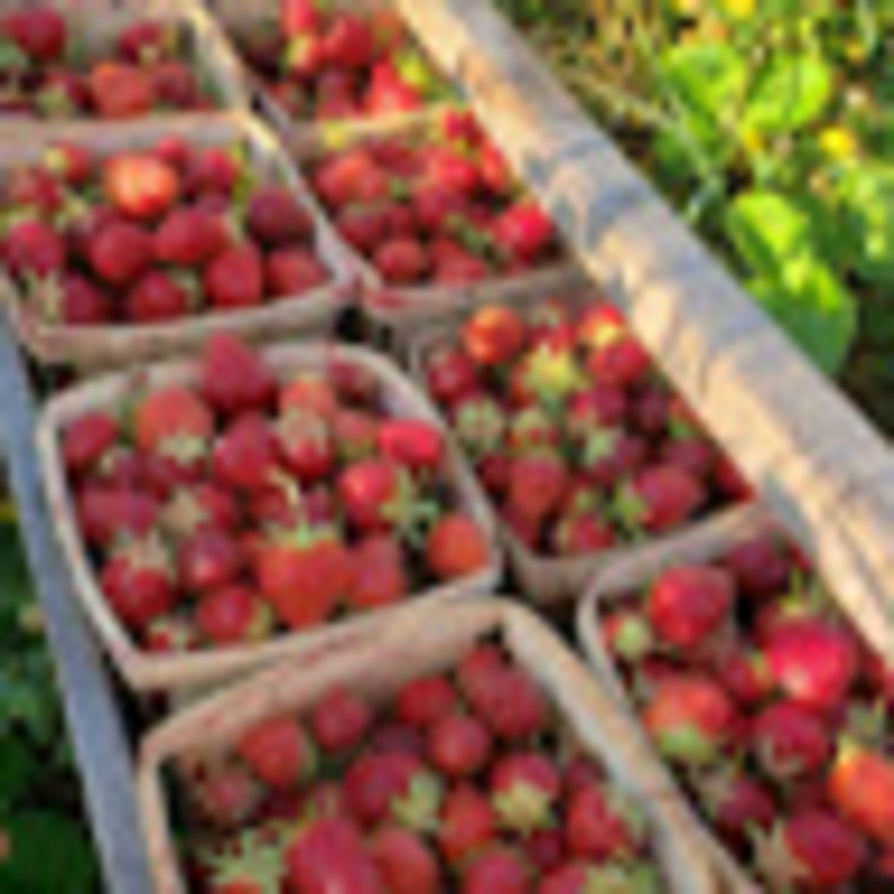 Meet your Posher, Kathleen